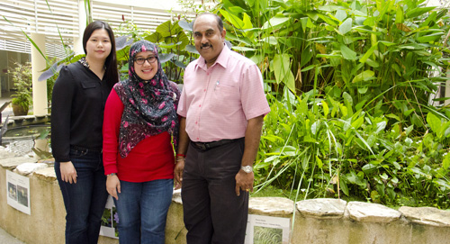 From Conversations to Research