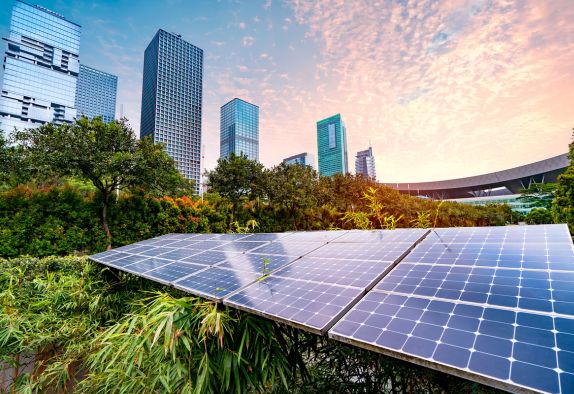 Game Your Way to a Greener Tomorrow: Sustainability Education