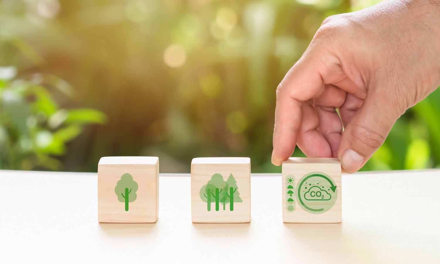 Engaging Minds through Games: Using Gamified Strategies to Teach Geography