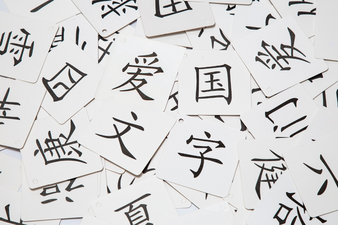 Mother Tongue Support Programme