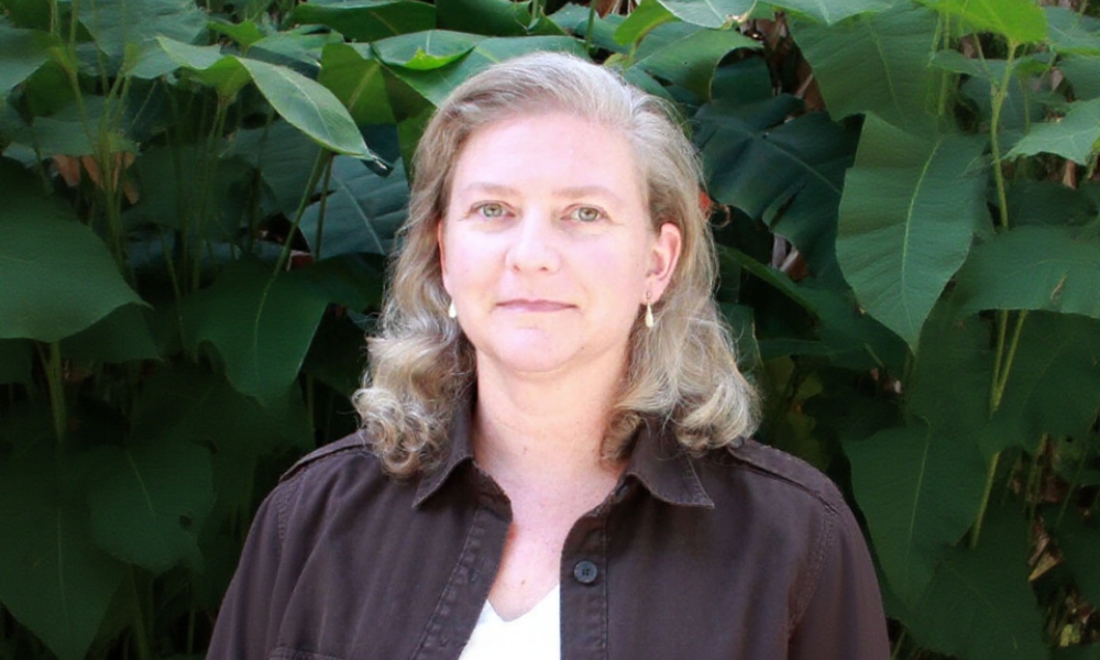 Tracking Bilingual Growth: What We’ve Learnt from GiBBer So Far